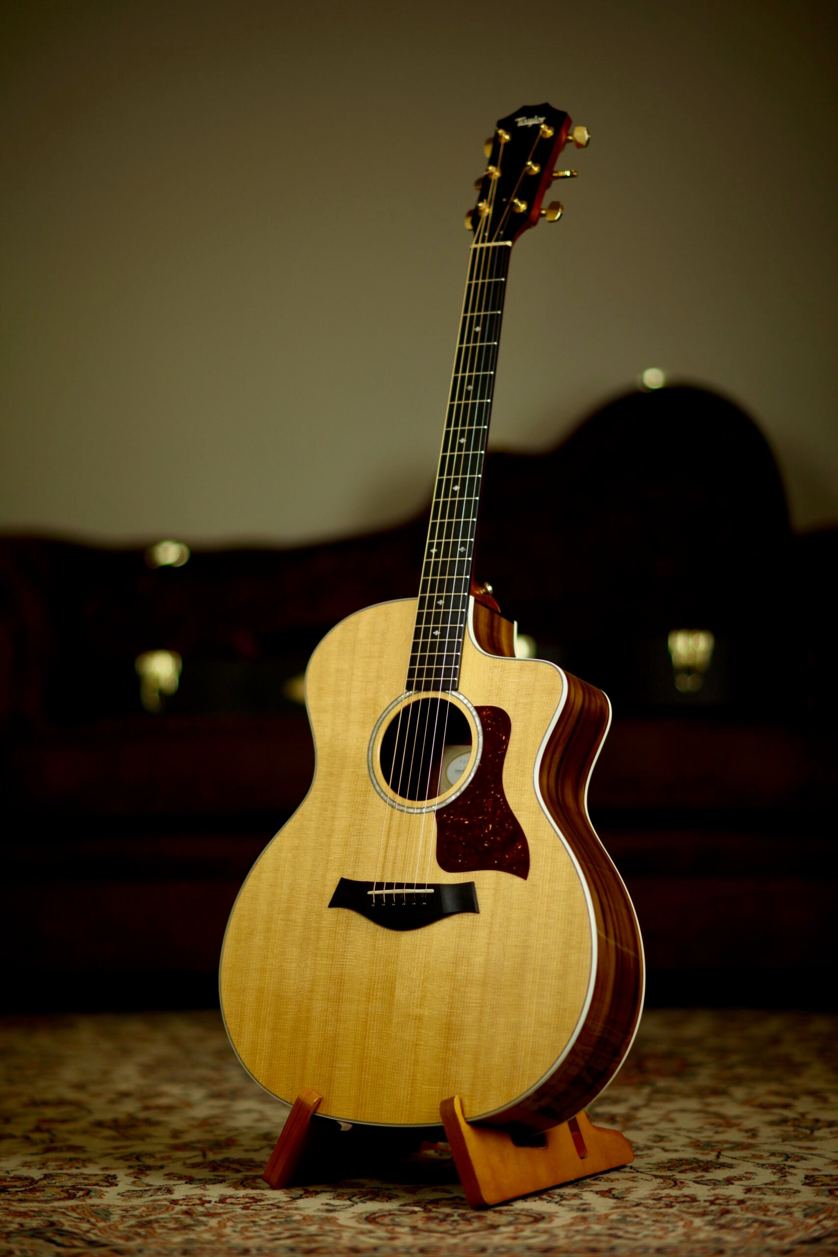 Taylor 214CE-SG LTD | Fumed Sweet Gum