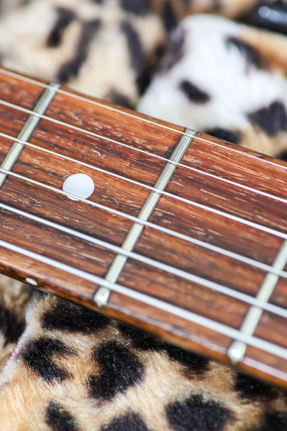 Gibson Billie Joe Armstrong Les Paul Junior | Ebony