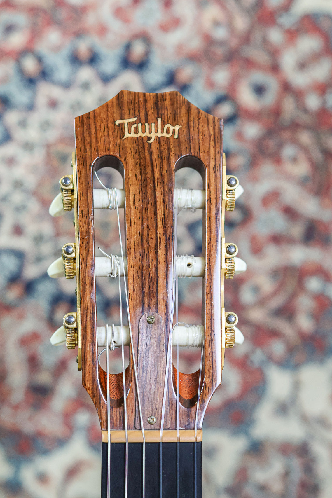 Taylor NS54-CE 2006  | Natural