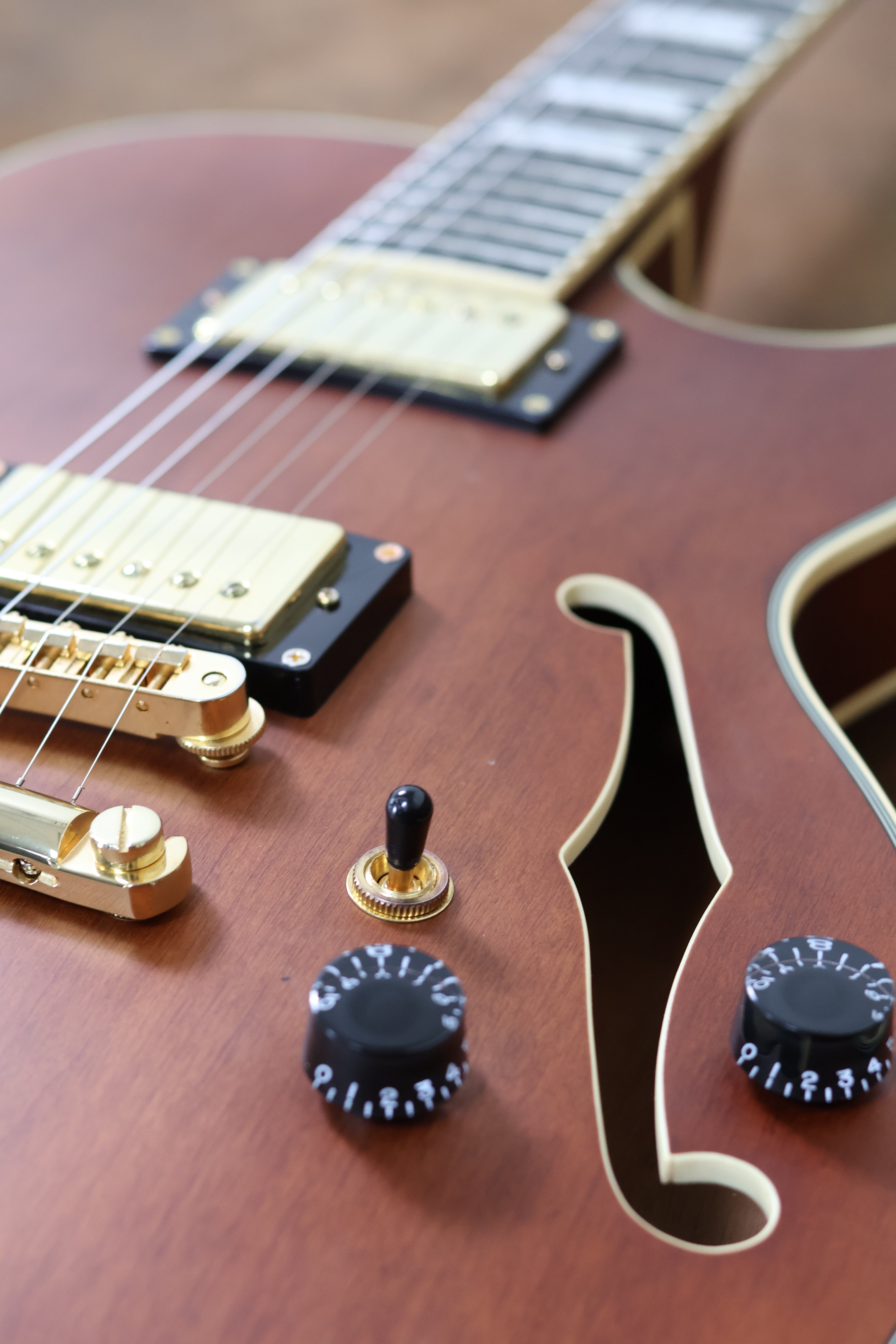 D'Angelico Premier Grateful Dead SS | Walnut