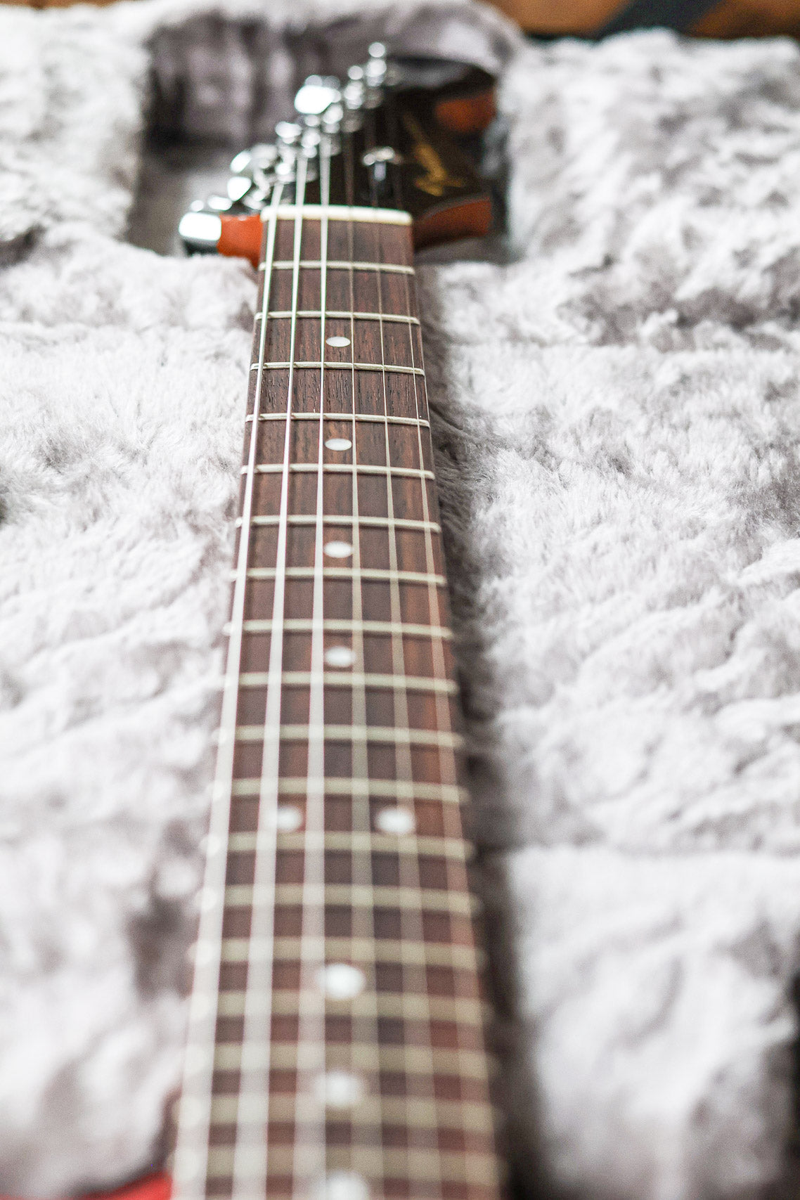 Fender American Pro II Stratocaster HH | Crimson Transparant