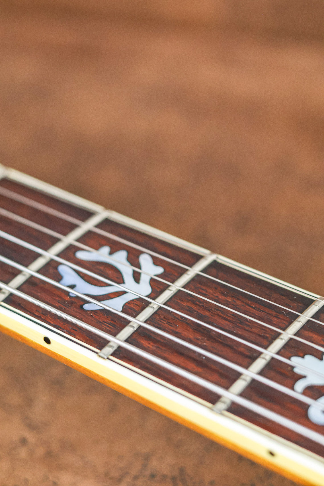 Ibanez 2405 Custom Agent 1975 | Sunburst