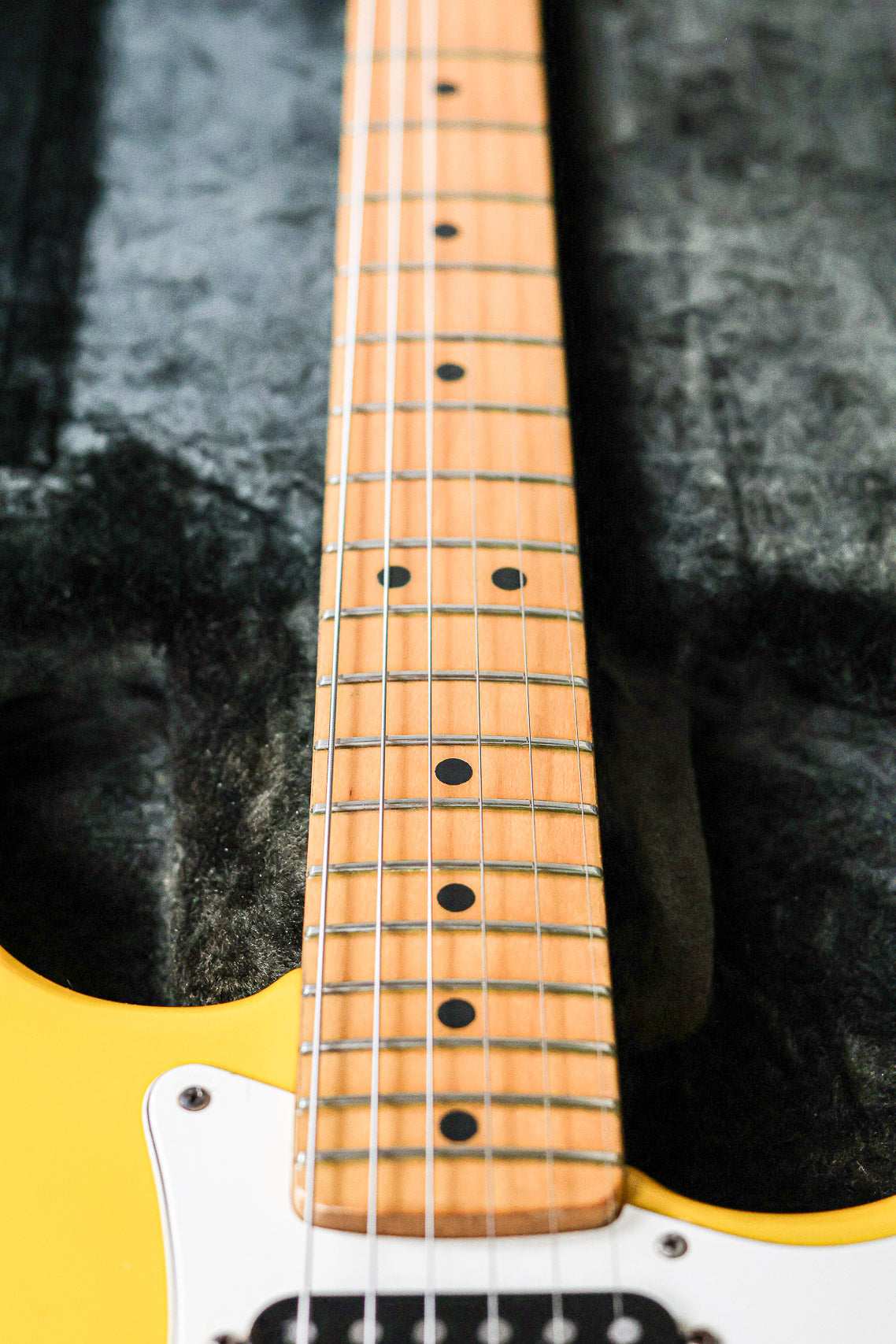 Fender Stratocaster International 1981 | Monaco Yellow