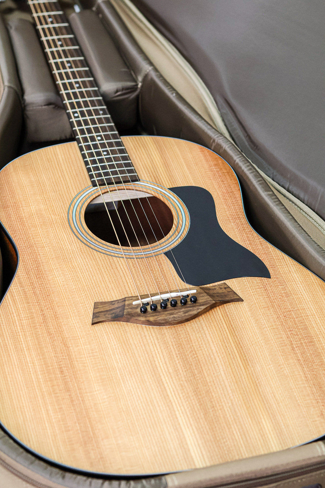 Taylor 117e Grand Pacific 2022 | Natural