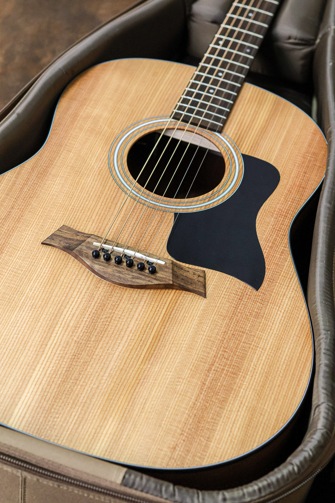 Taylor 117e Grand Pacific 2022 | Natural