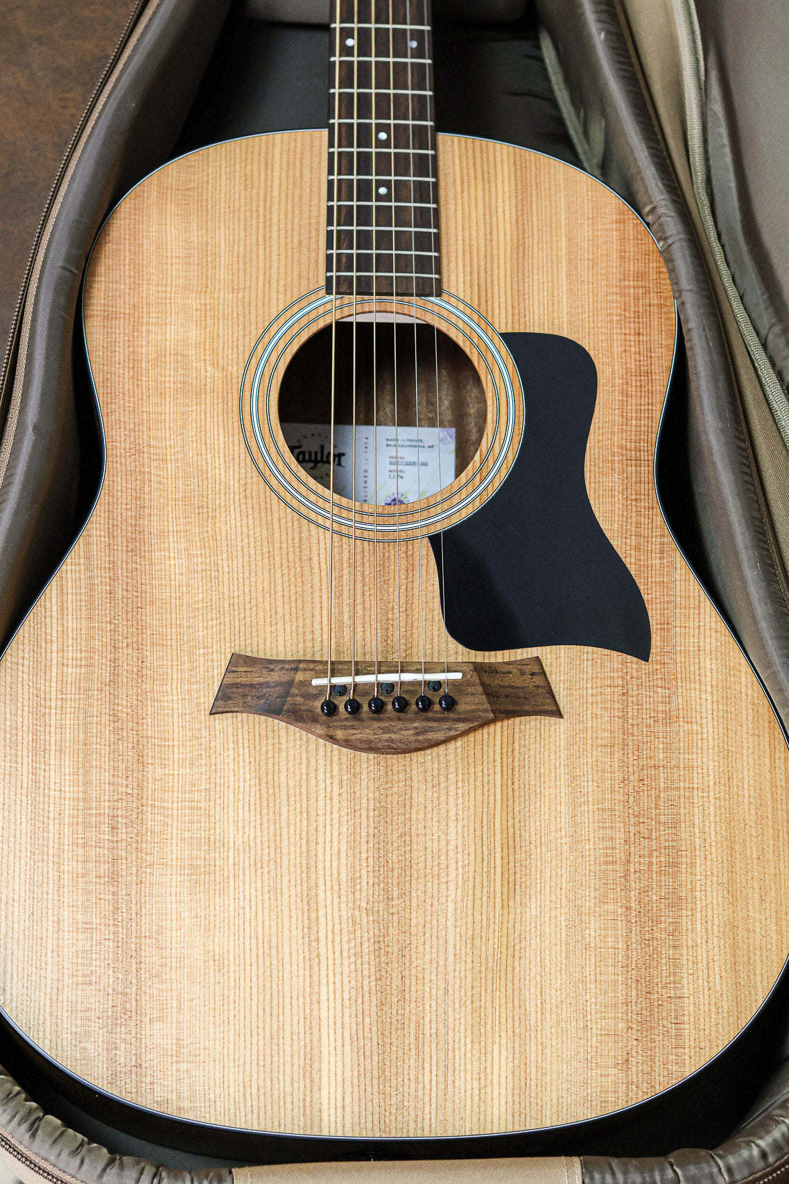 Taylor 117e Grand Pacific 2022 | Natural