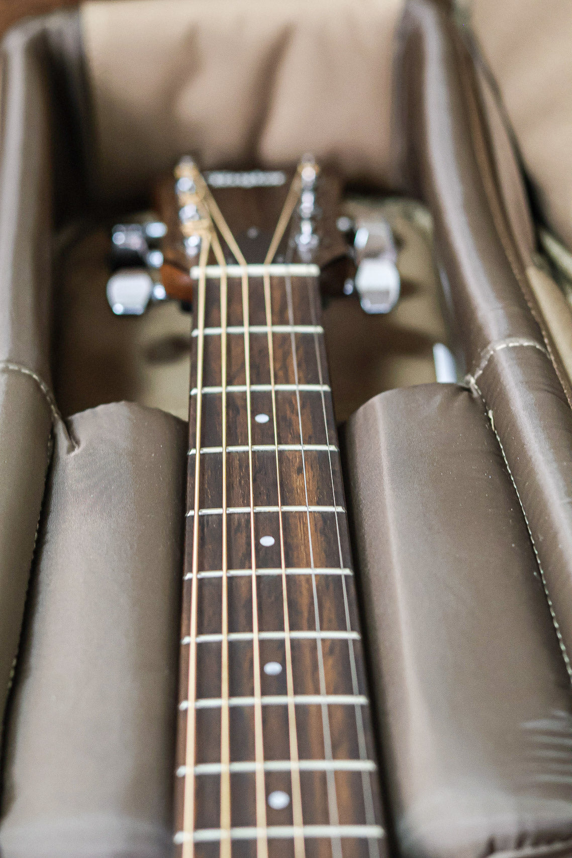 Taylor 117e Grand Pacific 2022 | Natural