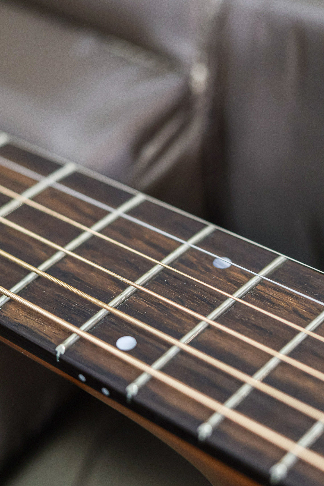Taylor 117e Grand Pacific 2022 | Natural