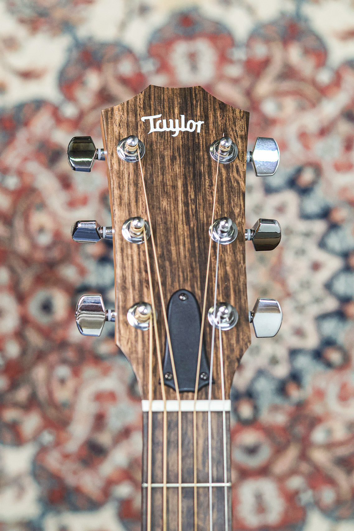 Taylor 117e Grand Pacific 2022 | Natural