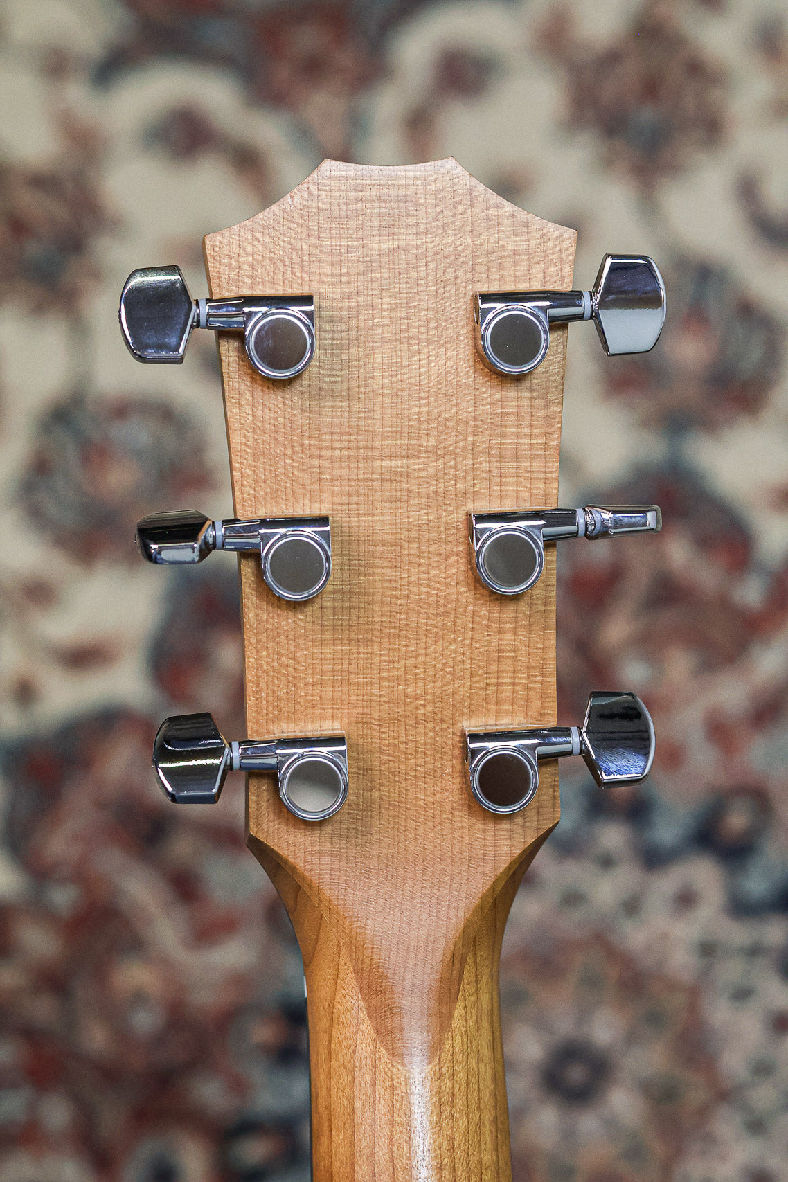Taylor 117e Grand Pacific 2022 | Natural