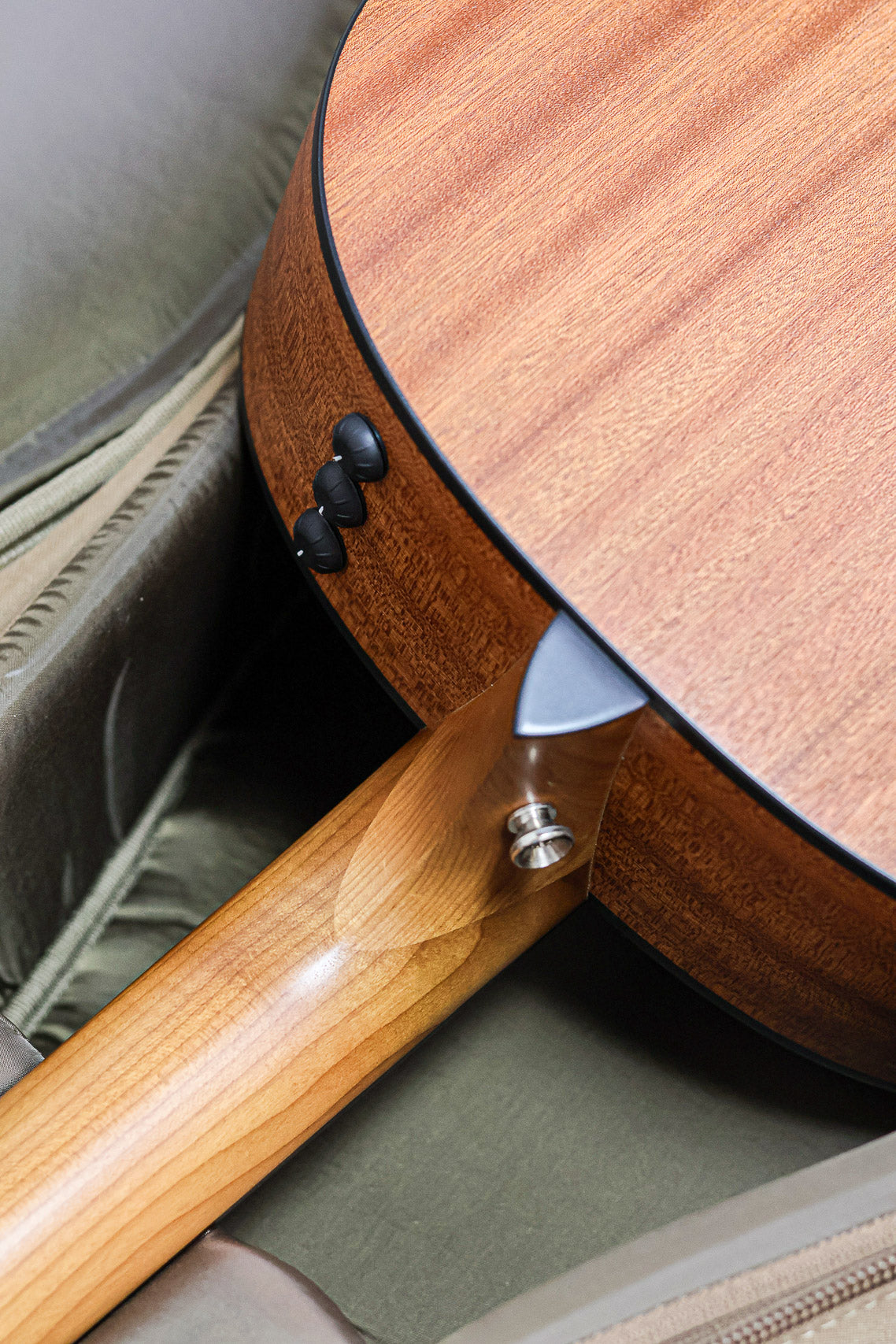 Taylor 117e Grand Pacific 2022 | Natural