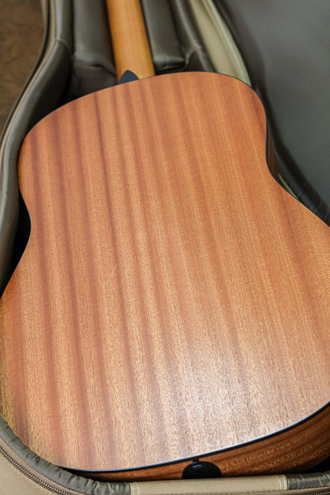 Taylor 117e Grand Pacific 2022 | Natural