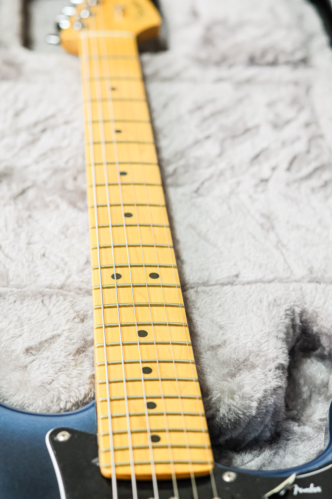 Fender American Pro II Stratocaster | Dark Knight