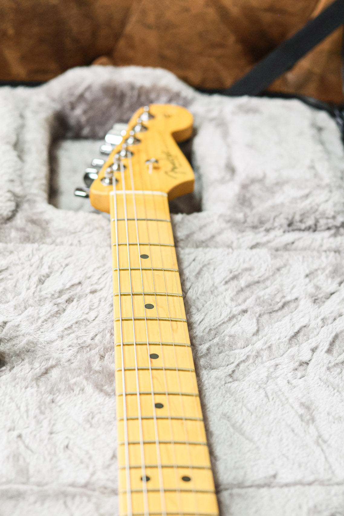 Fender American Pro II Stratocaster | Dark Knight