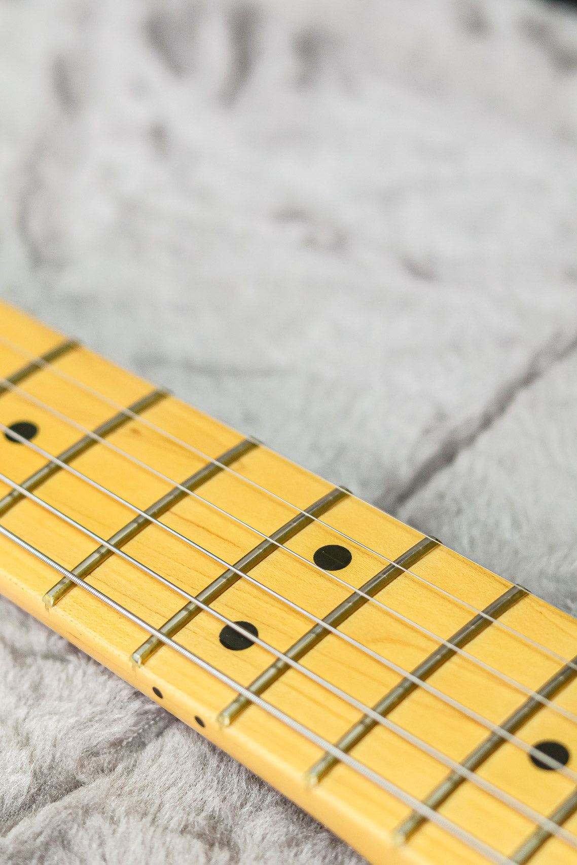 Fender American Pro II Stratocaster | Dark Knight