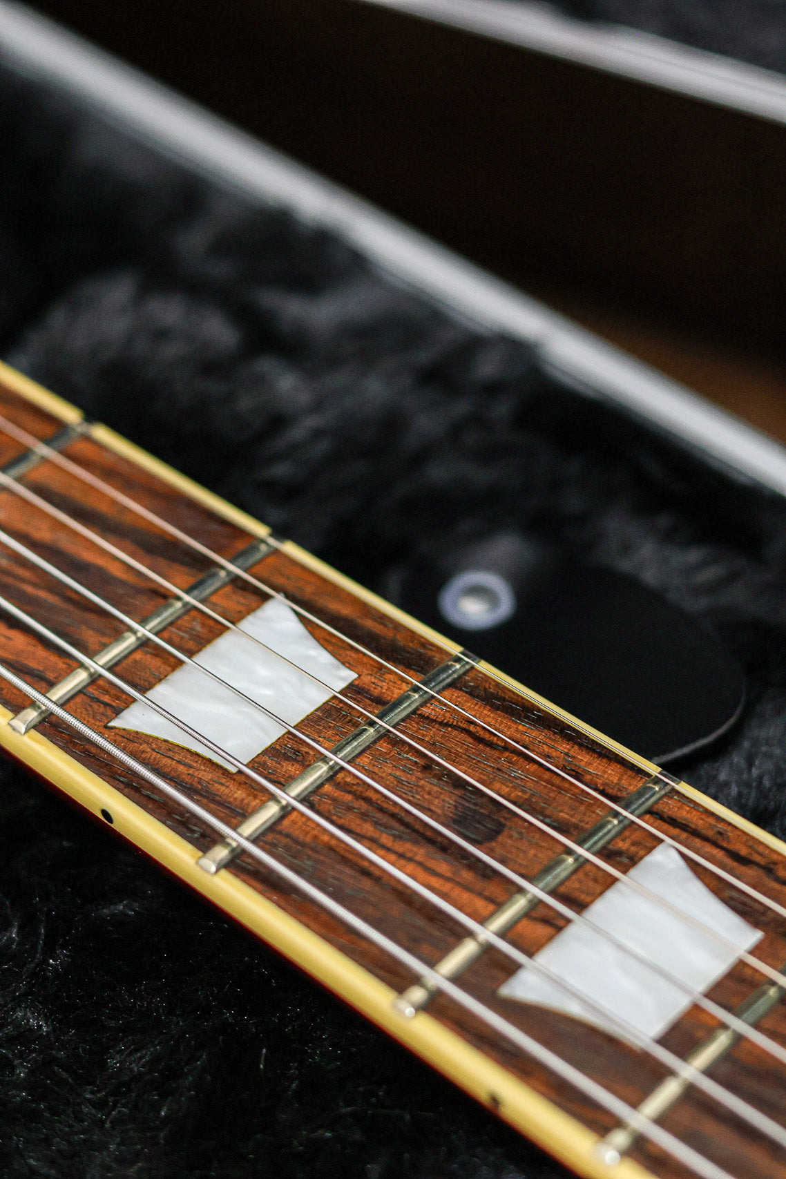 Edwards E-LP-125SD QM | Black Cherry