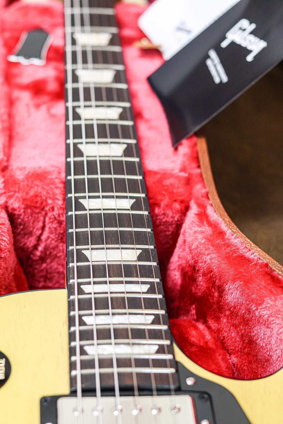 Gibson Les Paul Standard 50's Nitro | TV Yellow