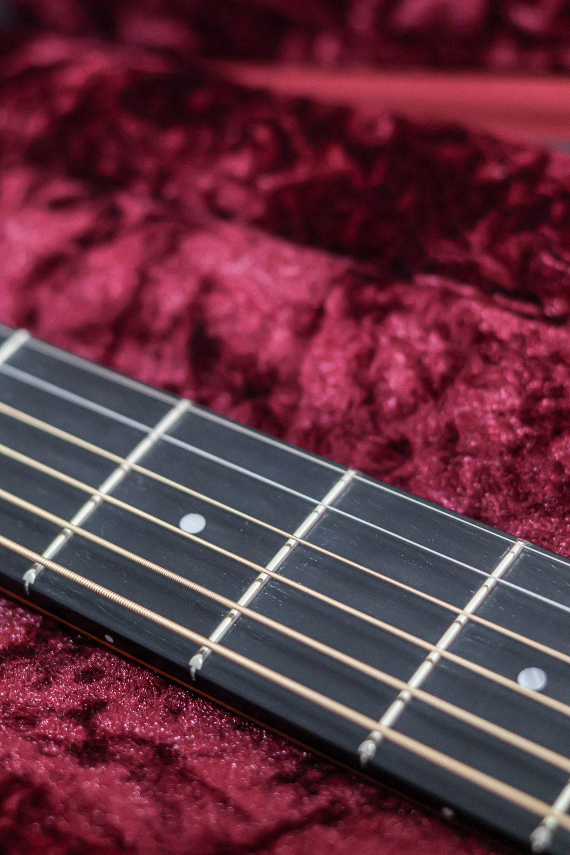 Taylor 214CE Plus | Natural