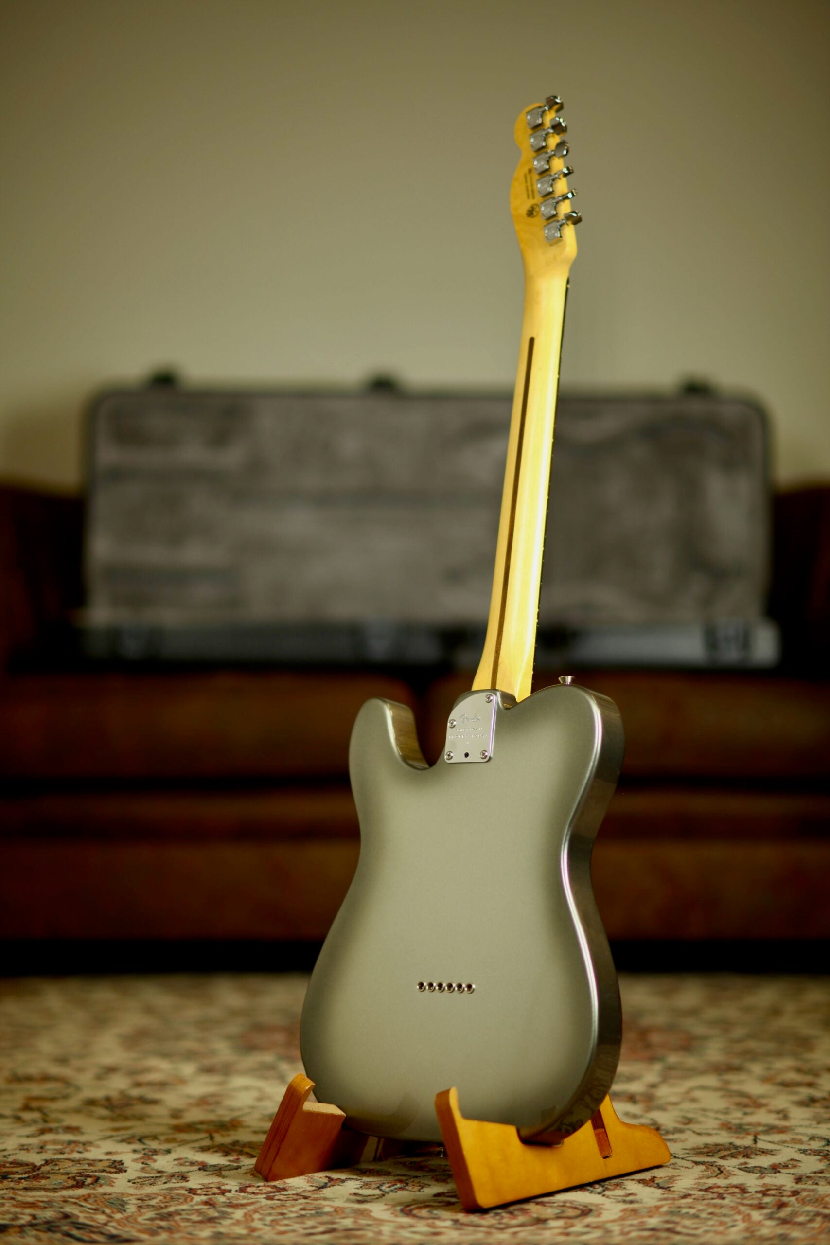 Fender American Professional II Telecaster RW | Mercury