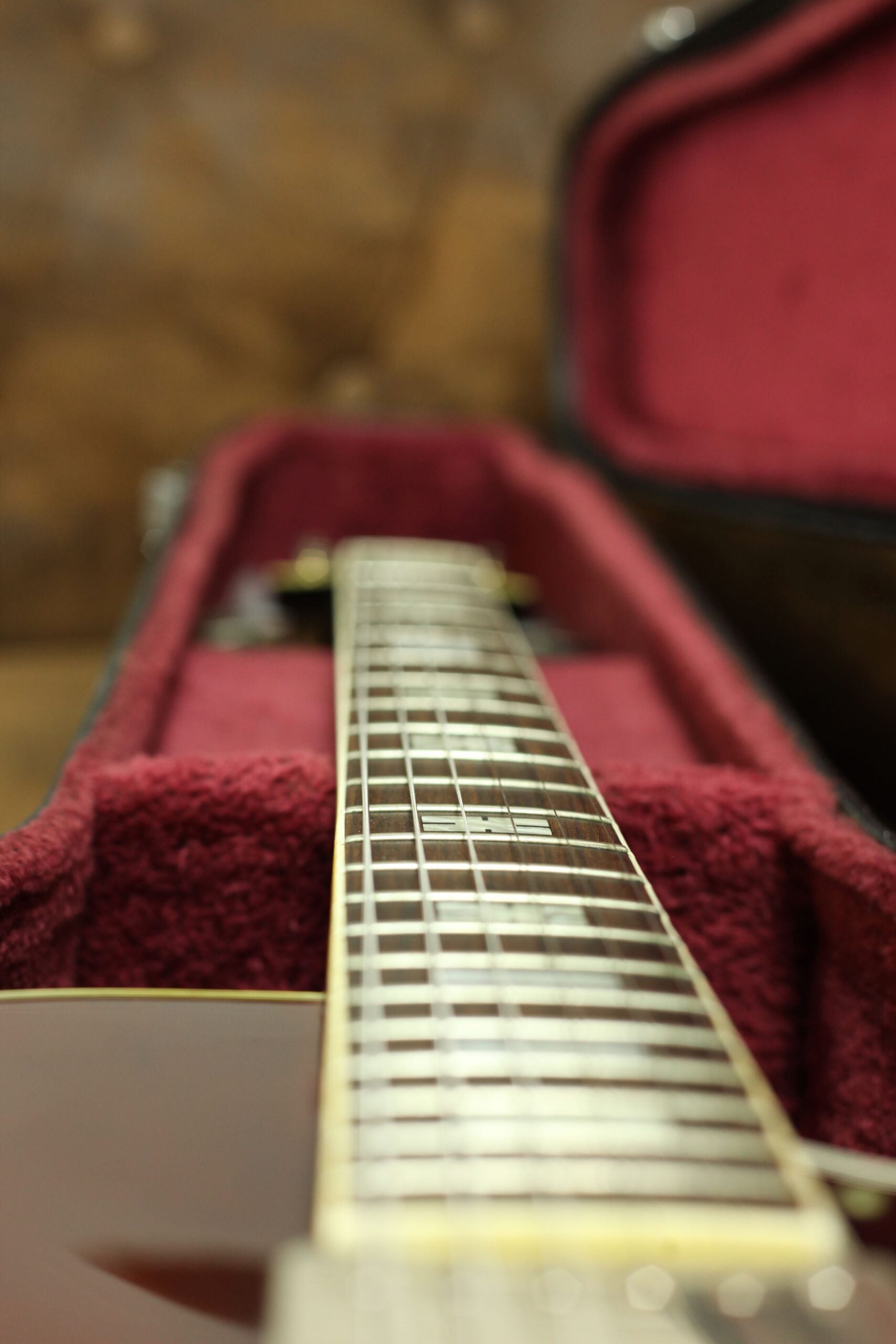Ibanez 2453 Single Cutaway Hollow Body | Sunburst