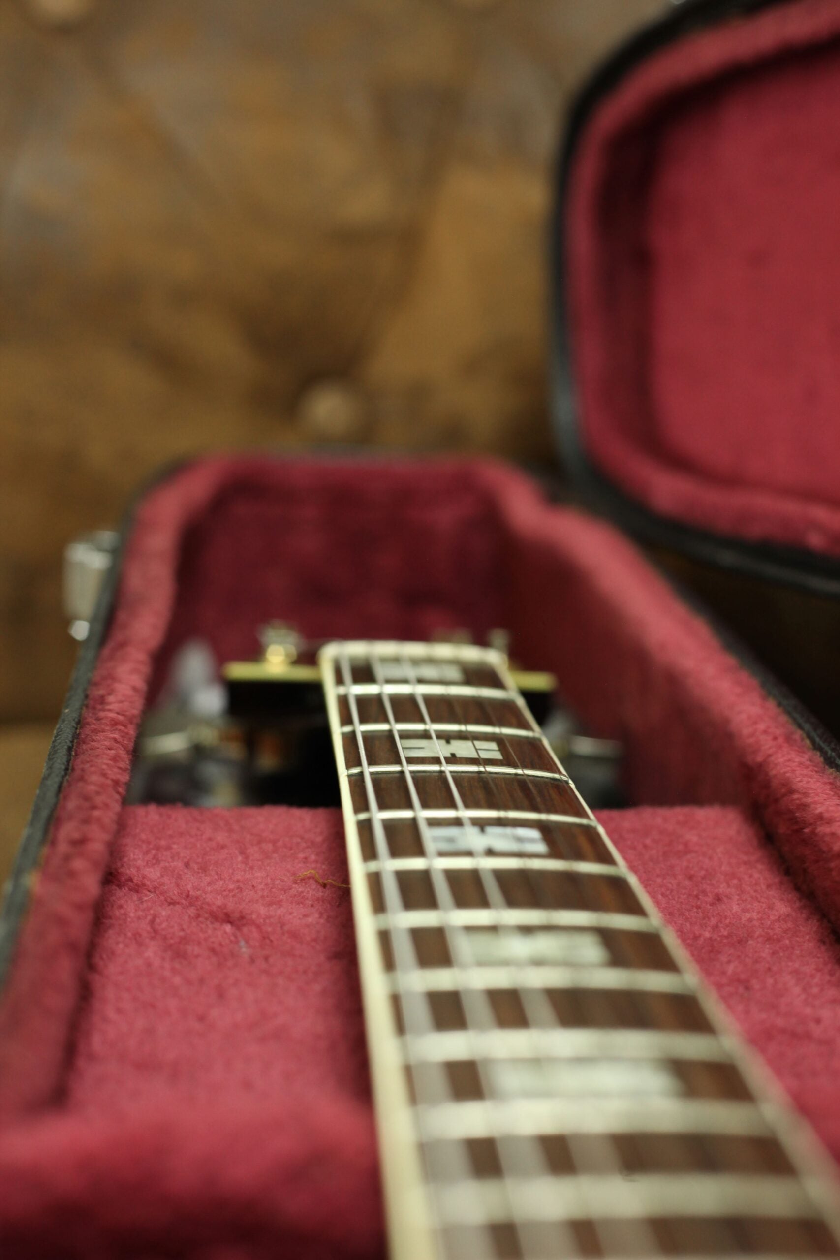 Ibanez 2453 Single Cutaway Hollow Body | Sunburst