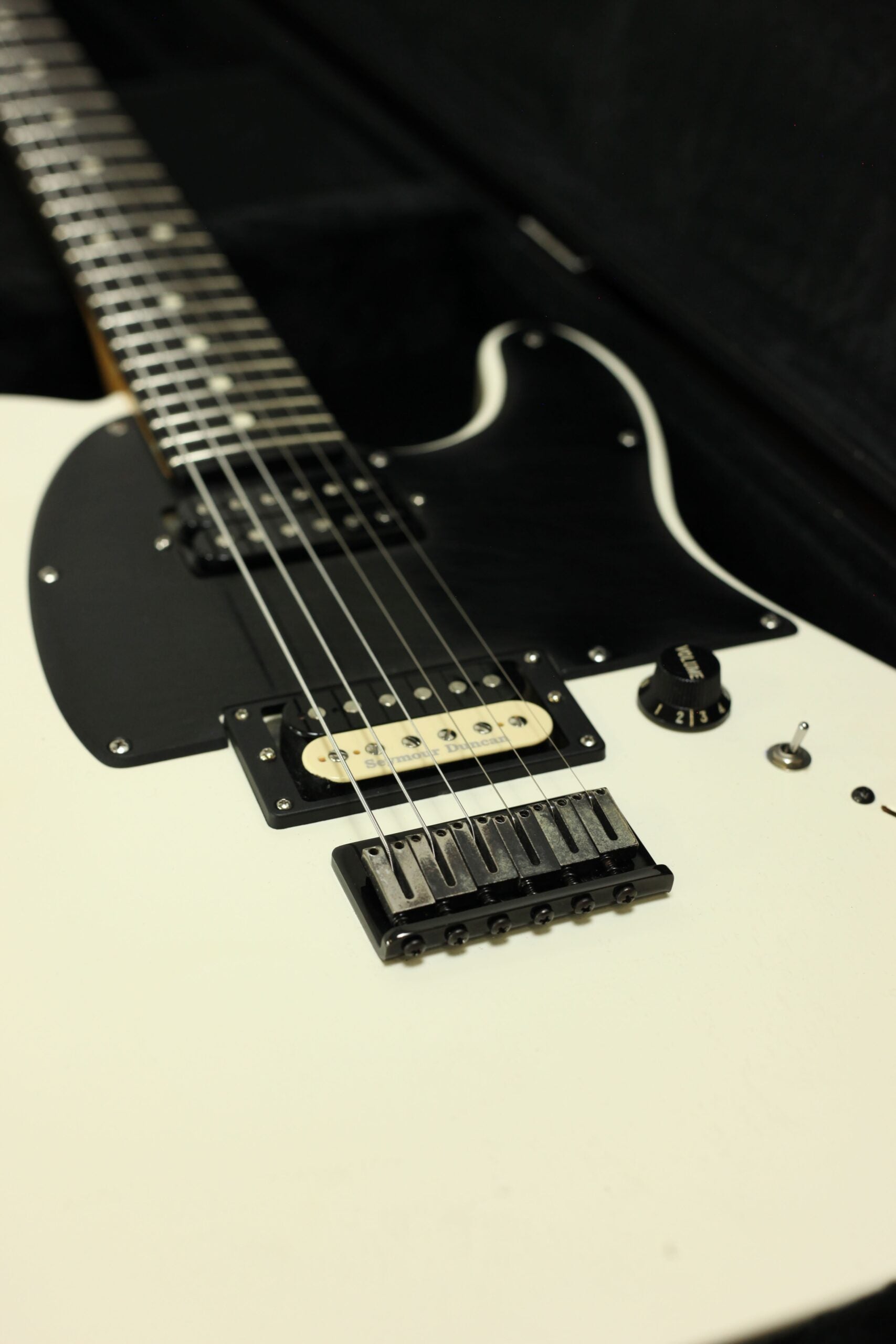 Fender Jim Root Telecaster | FlatWhite