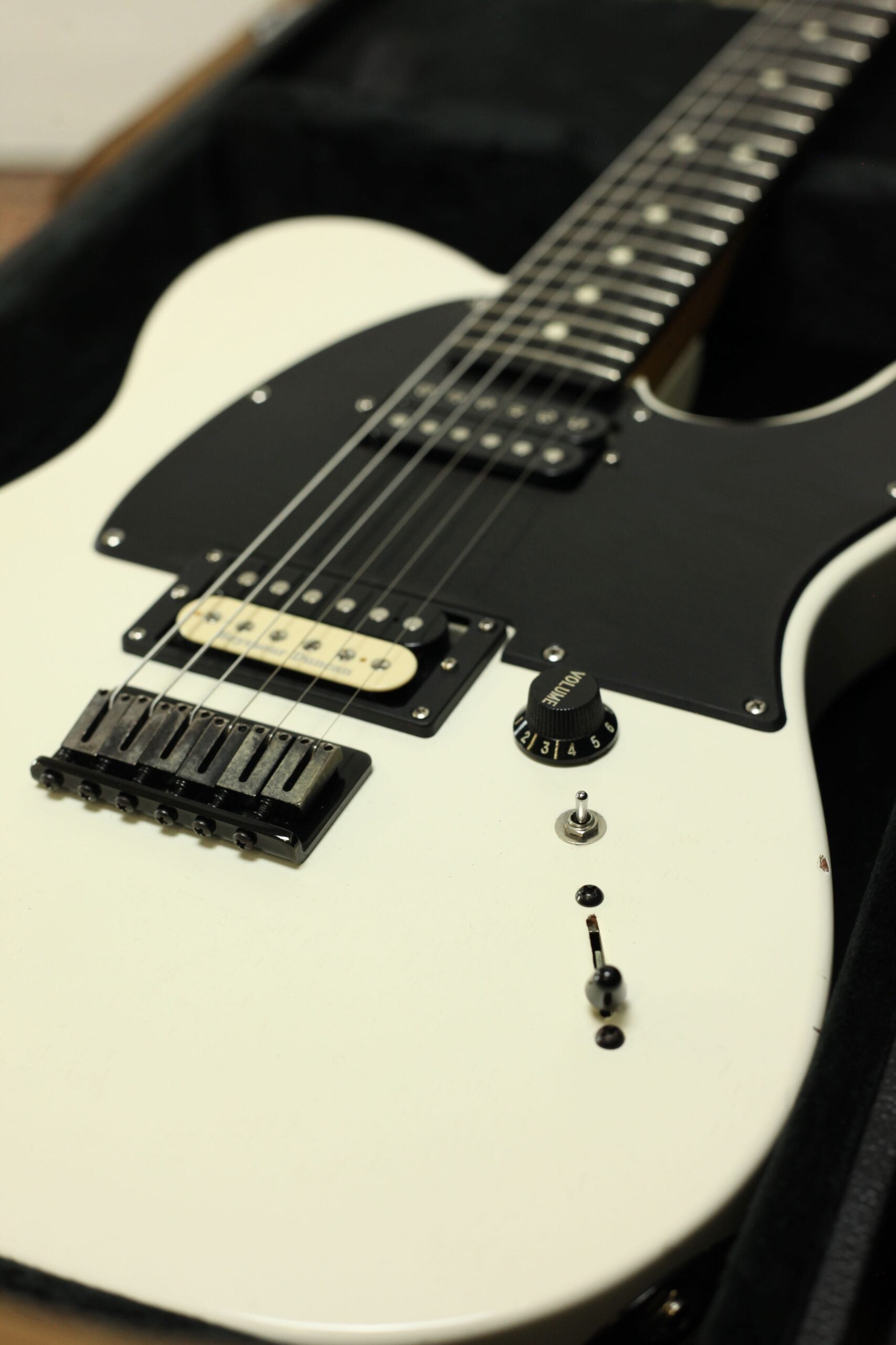 Fender Jim Root Telecaster | FlatWhite