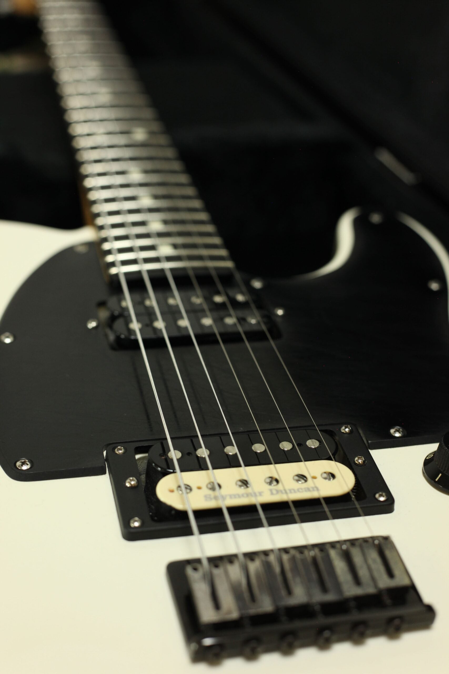 Fender Jim Root Telecaster | FlatWhite