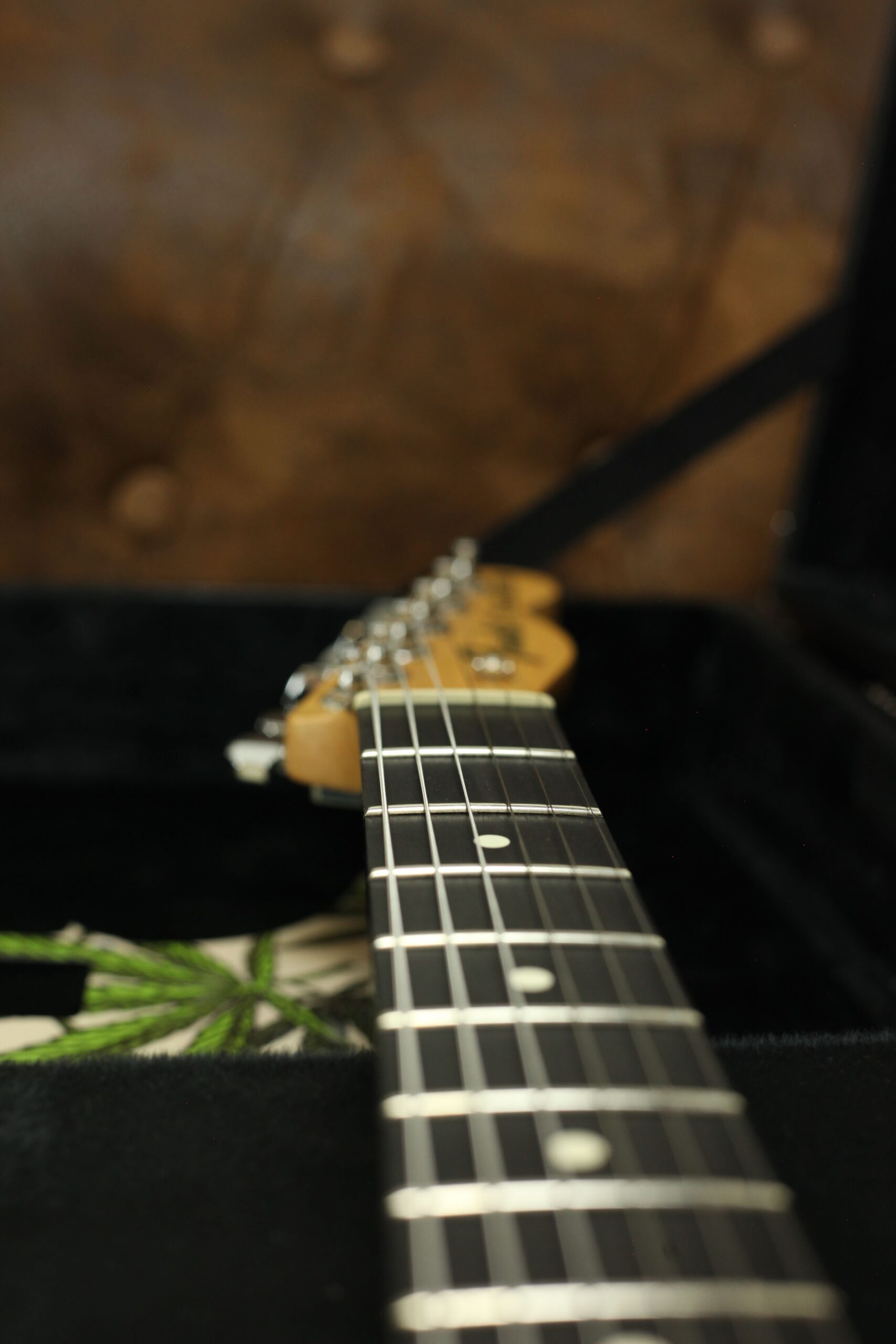 Fender Jim Root Telecaster | FlatWhite