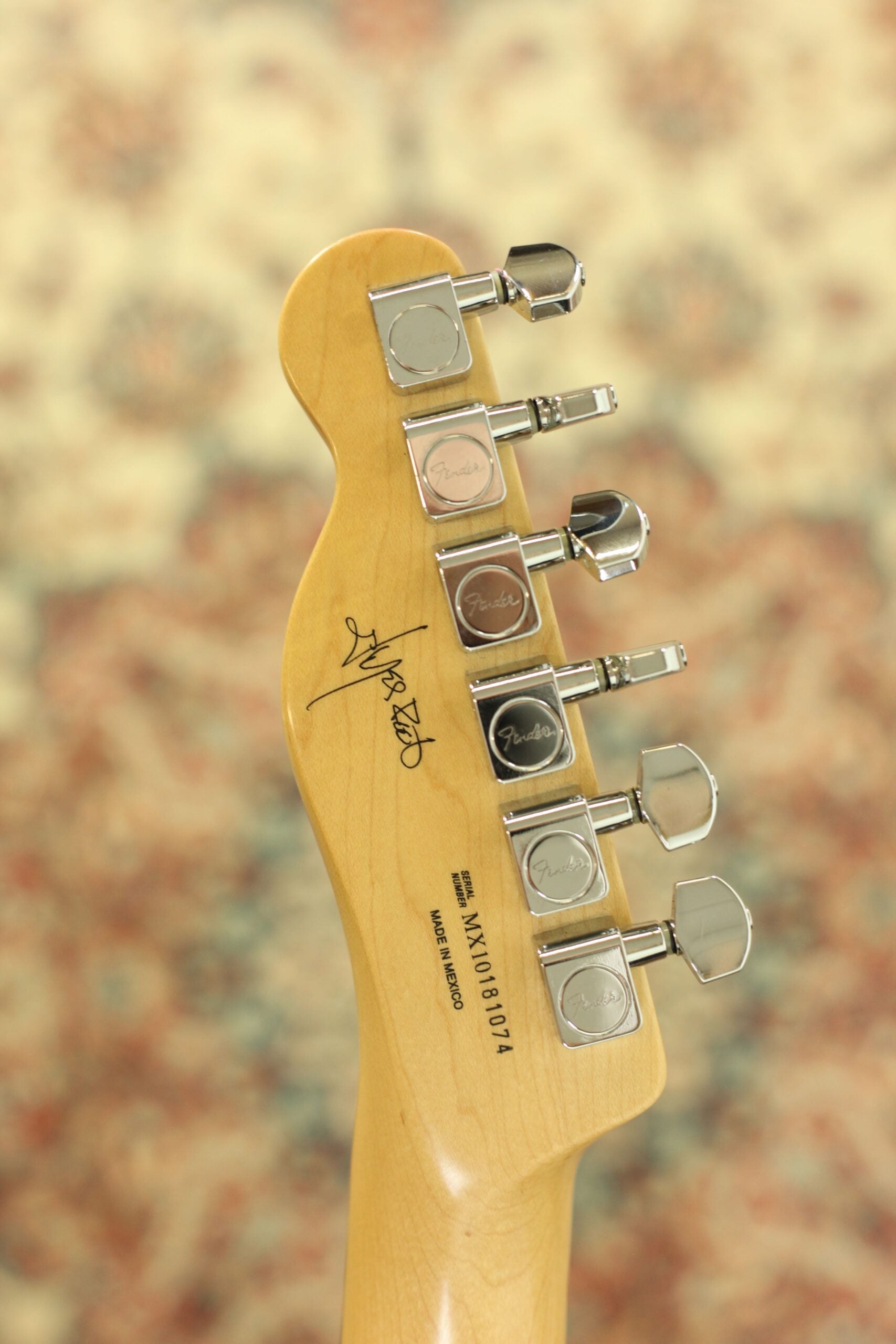 Fender Jim Root Telecaster | FlatWhite