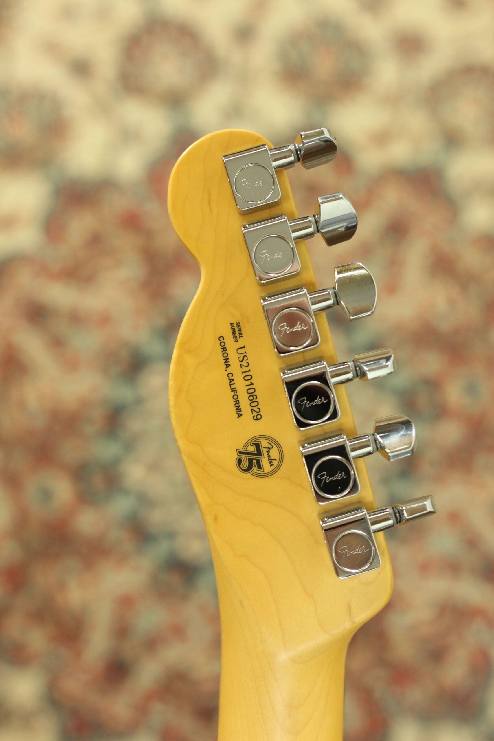 Fender American Professional II Telecaster RW | Mercury