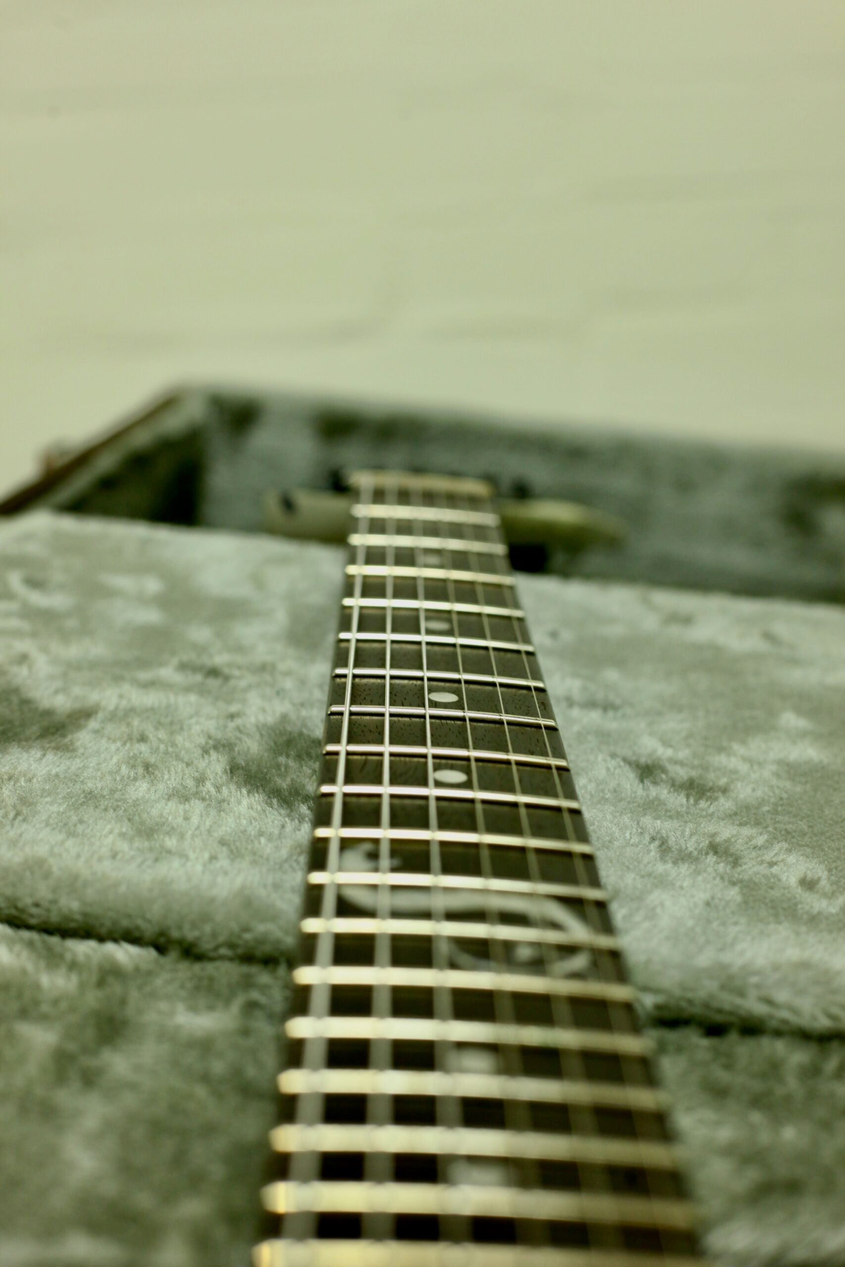 ESP LTD James Hetfield Signature Series | Snakebyte Camo