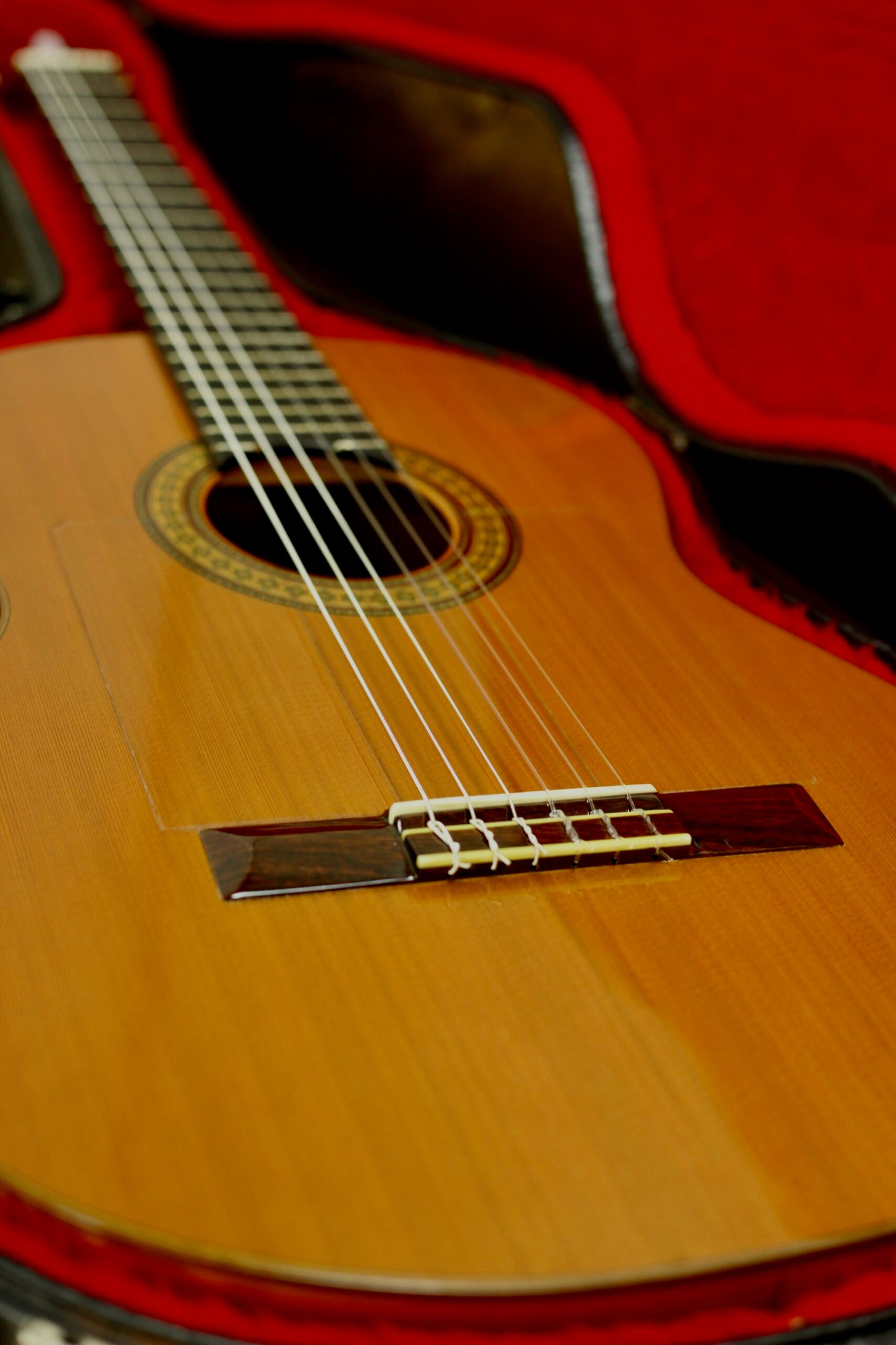 Pedro Blanco | Natural