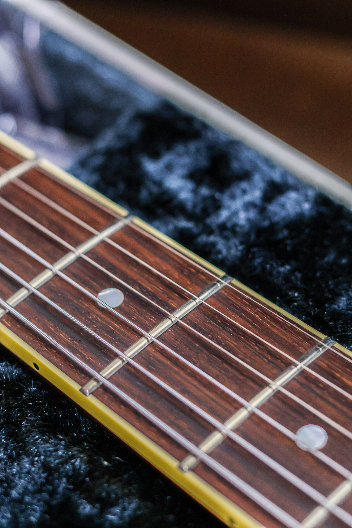 King Snake Curtis | Tobacco Sunburst