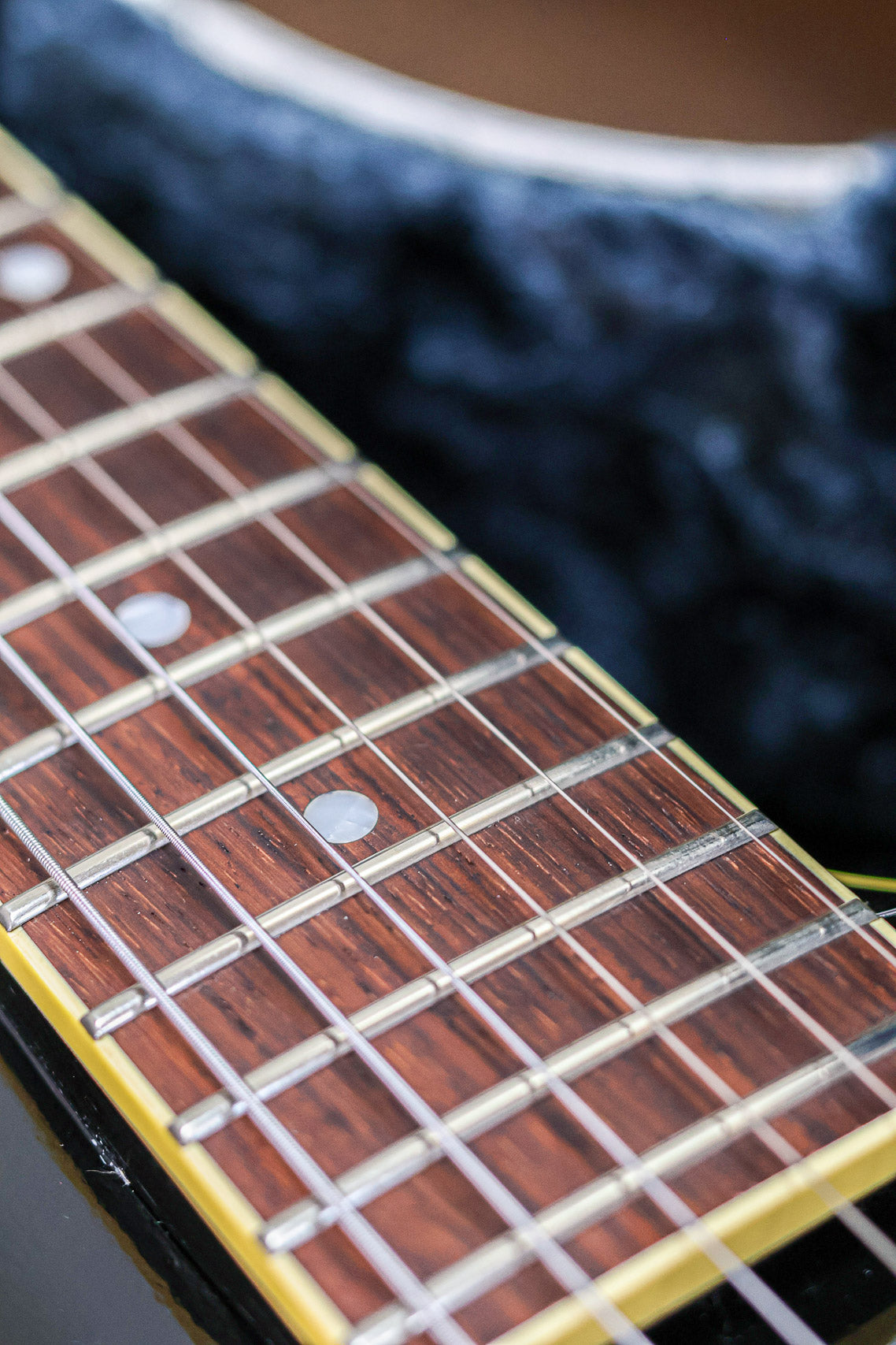King Snake Curtis | Tobacco Sunburst