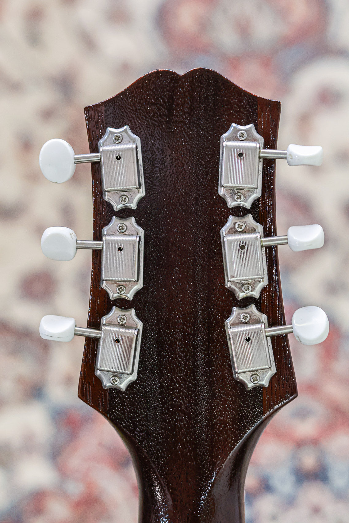 King Snake Curtis | Tobacco Sunburst