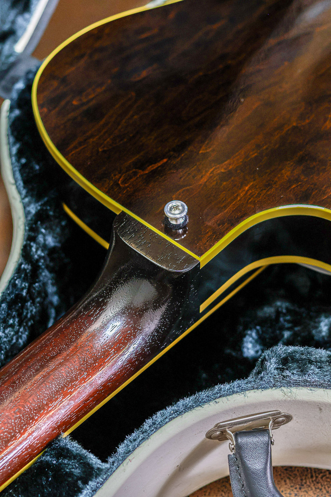 King Snake Curtis | Tobacco Sunburst