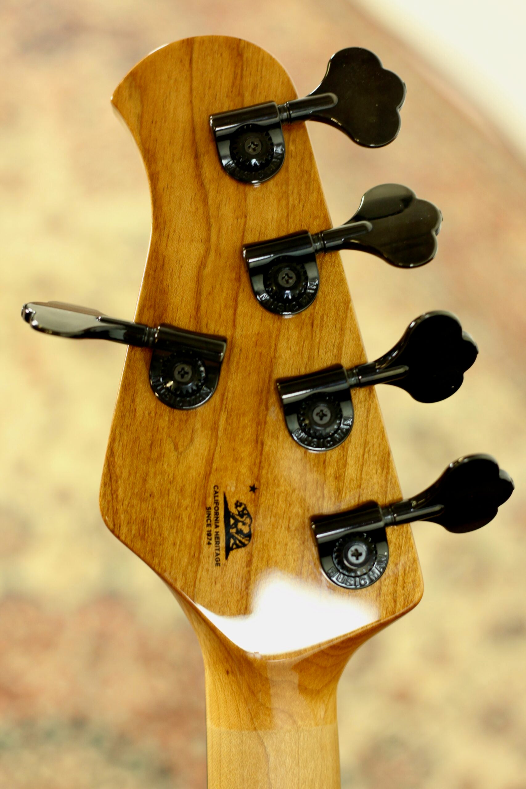 Music Man Stingray 5 | Black Rock