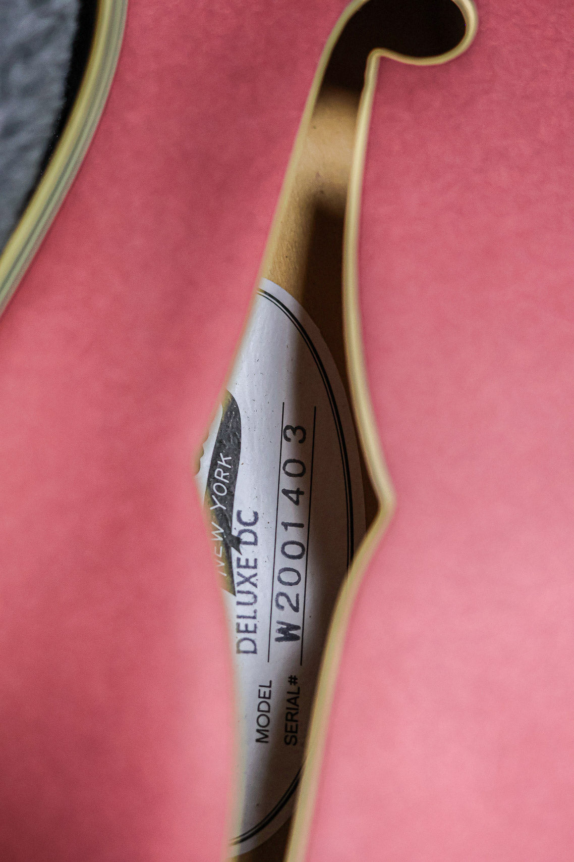 D’Angelico Deluxe DC Limited Edition 2020 | Matte Wine