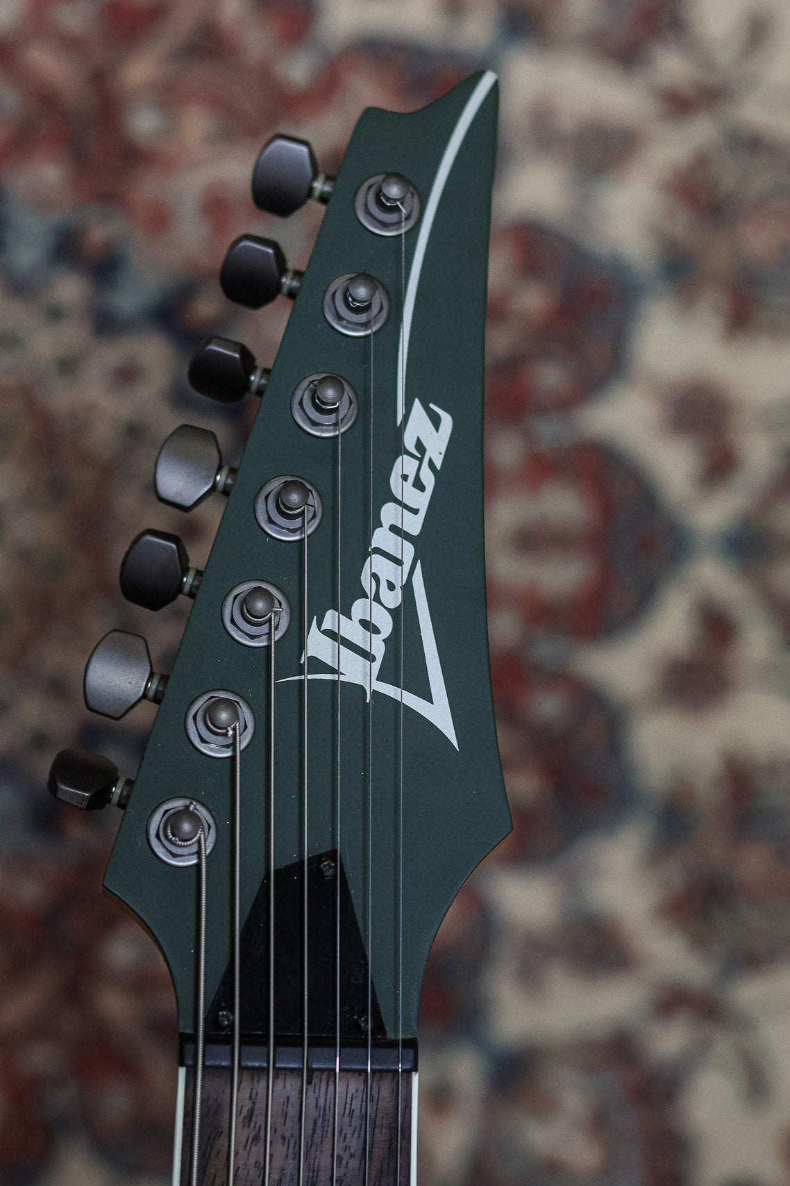 Ibanez APEX2 (Korn SIgnature) 2008 | Green Shadow Flat