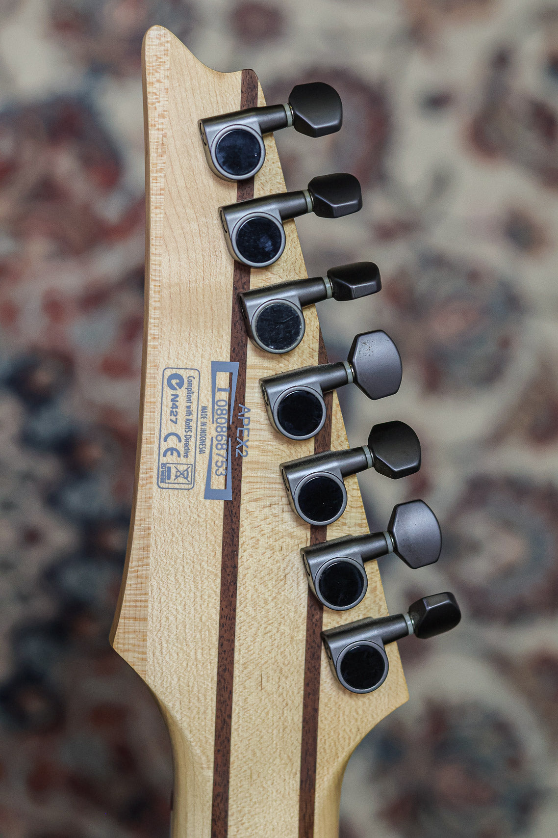 Ibanez APEX2 (Korn SIgnature) 2008 | Green Shadow Flat