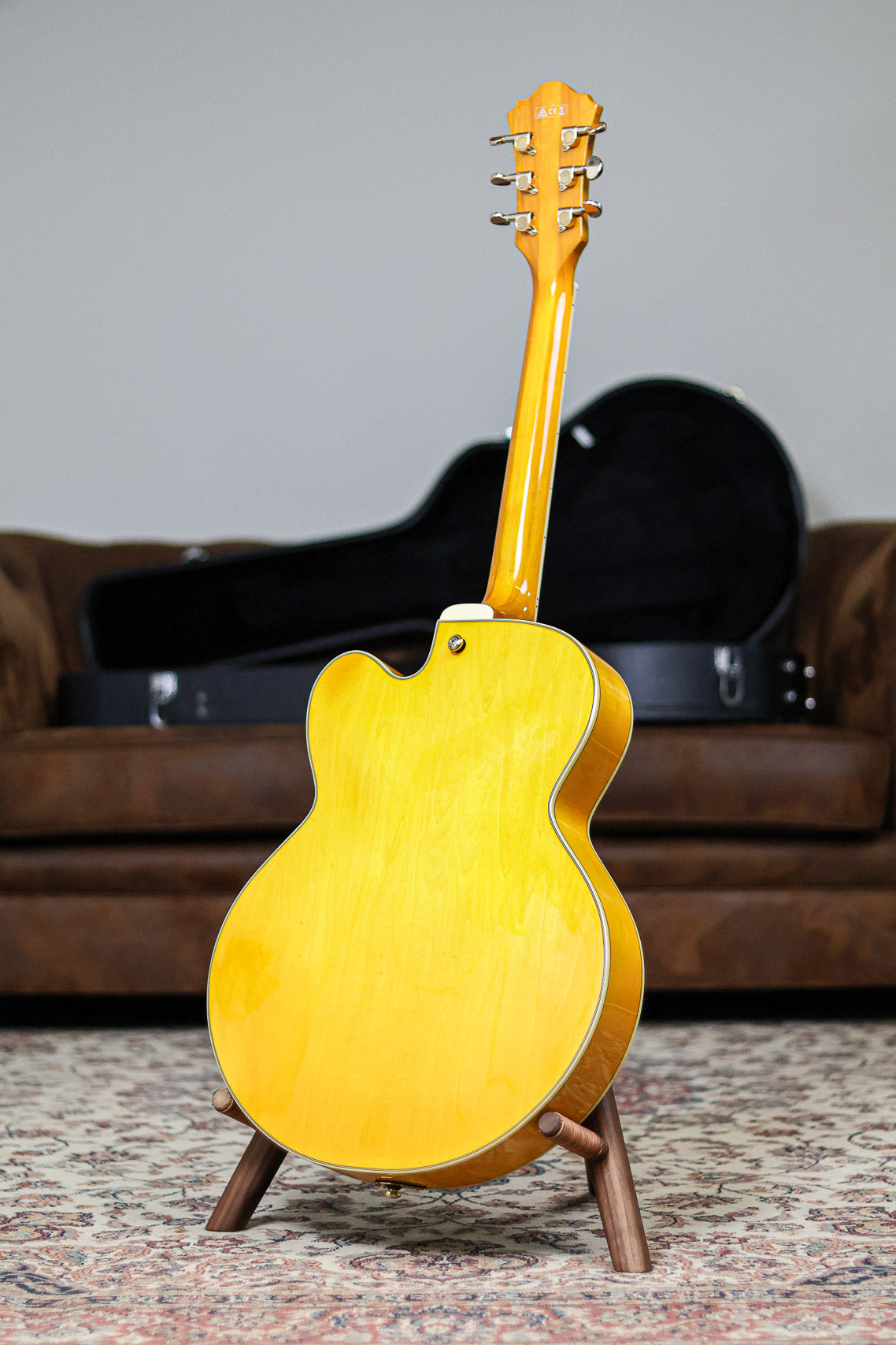 Ibanez PM2-AA | Antique Amber