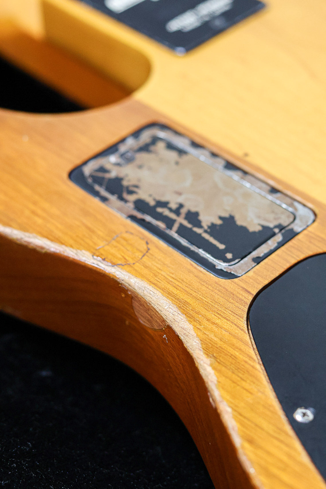 Ibanez ST924 1980 | Walnut