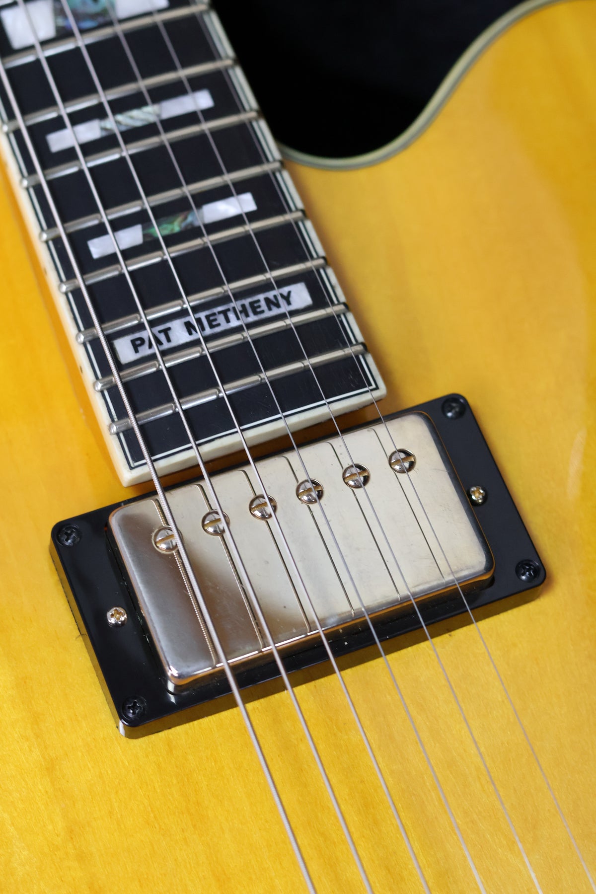 Ibanez PM2-AA | Antique Amber