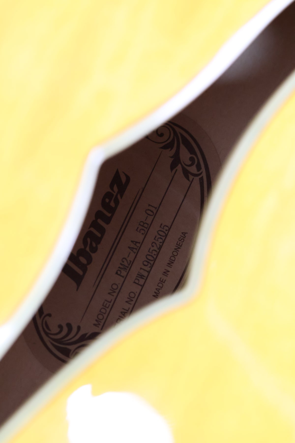 Ibanez PM2-AA | Antique Amber