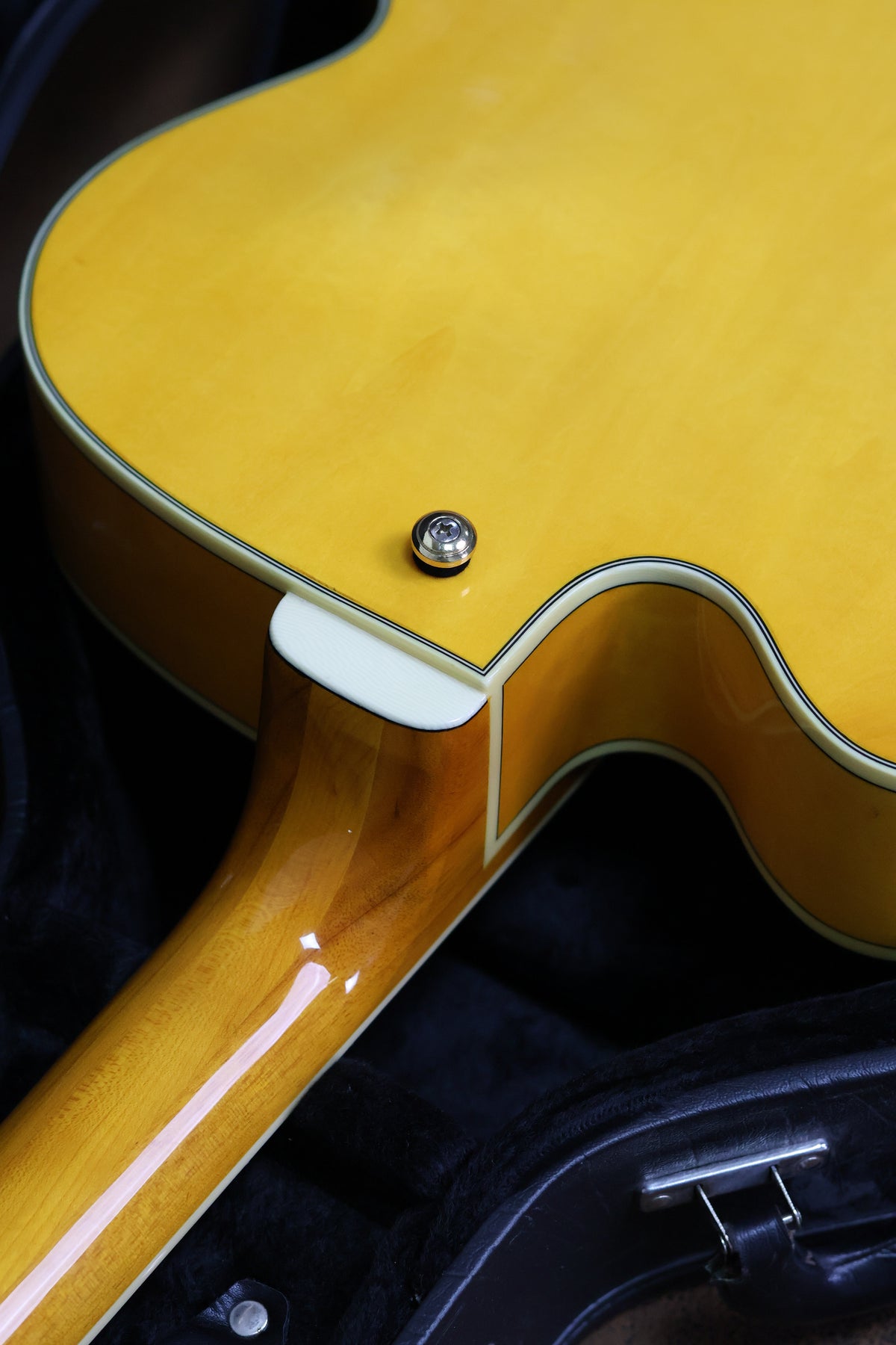 Ibanez PM2-AA | Antique Amber