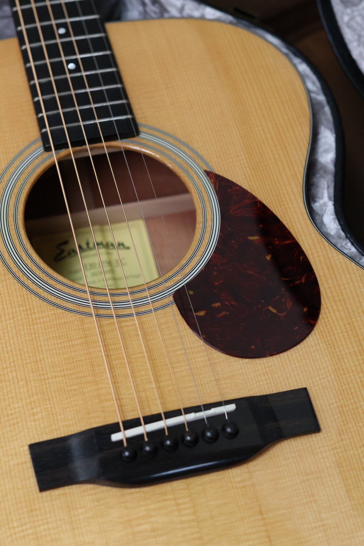 Eastman OM 10 TC 2023 | Thermo