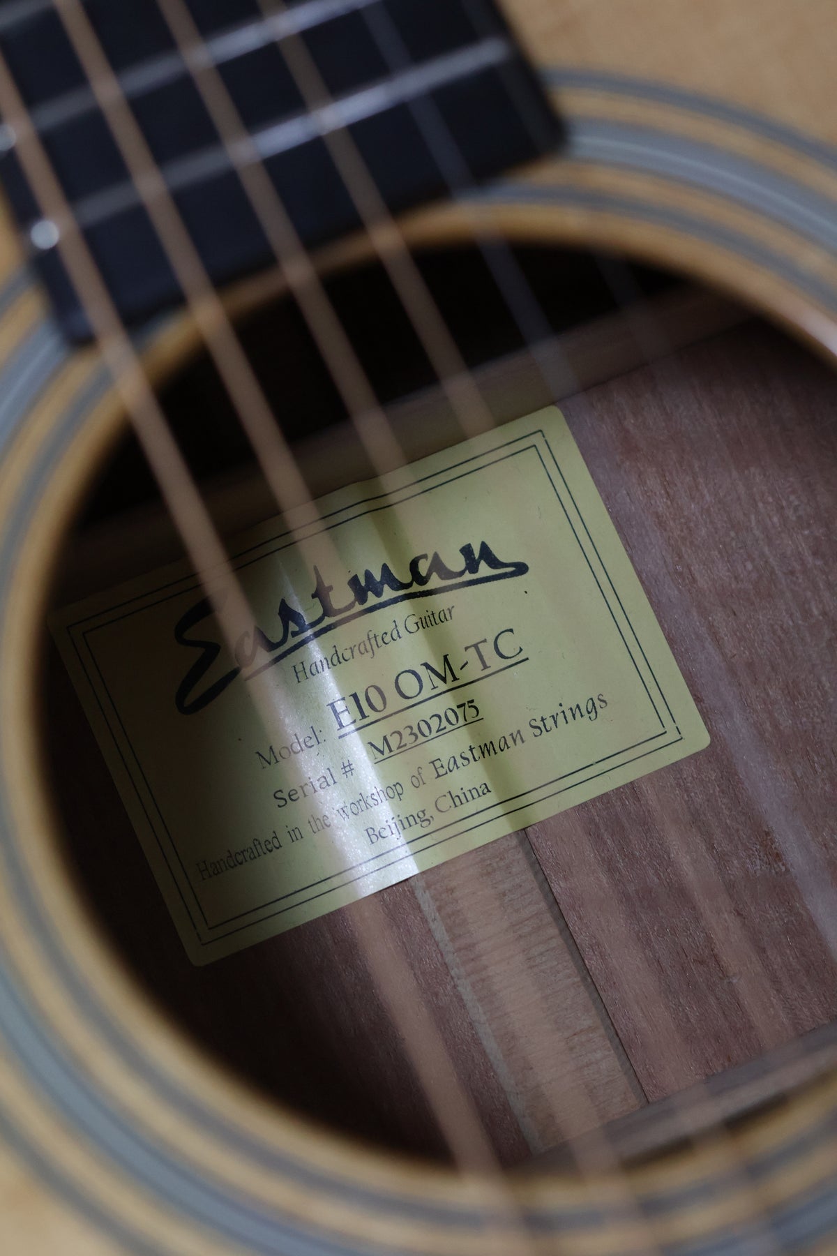 Eastman OM 10 TC 2023 | Thermo