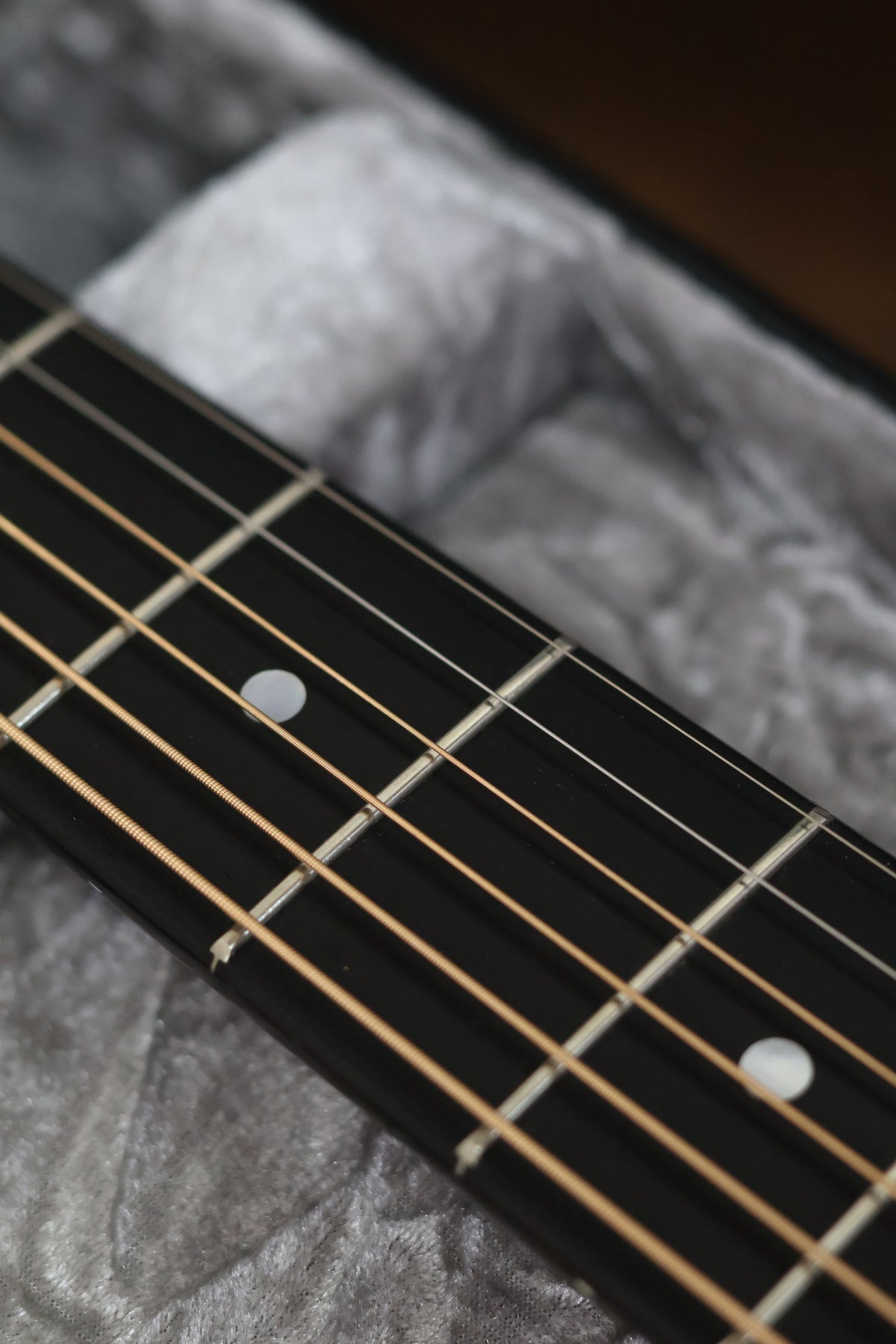 Eastman OM 10 TC 2023 | Thermo