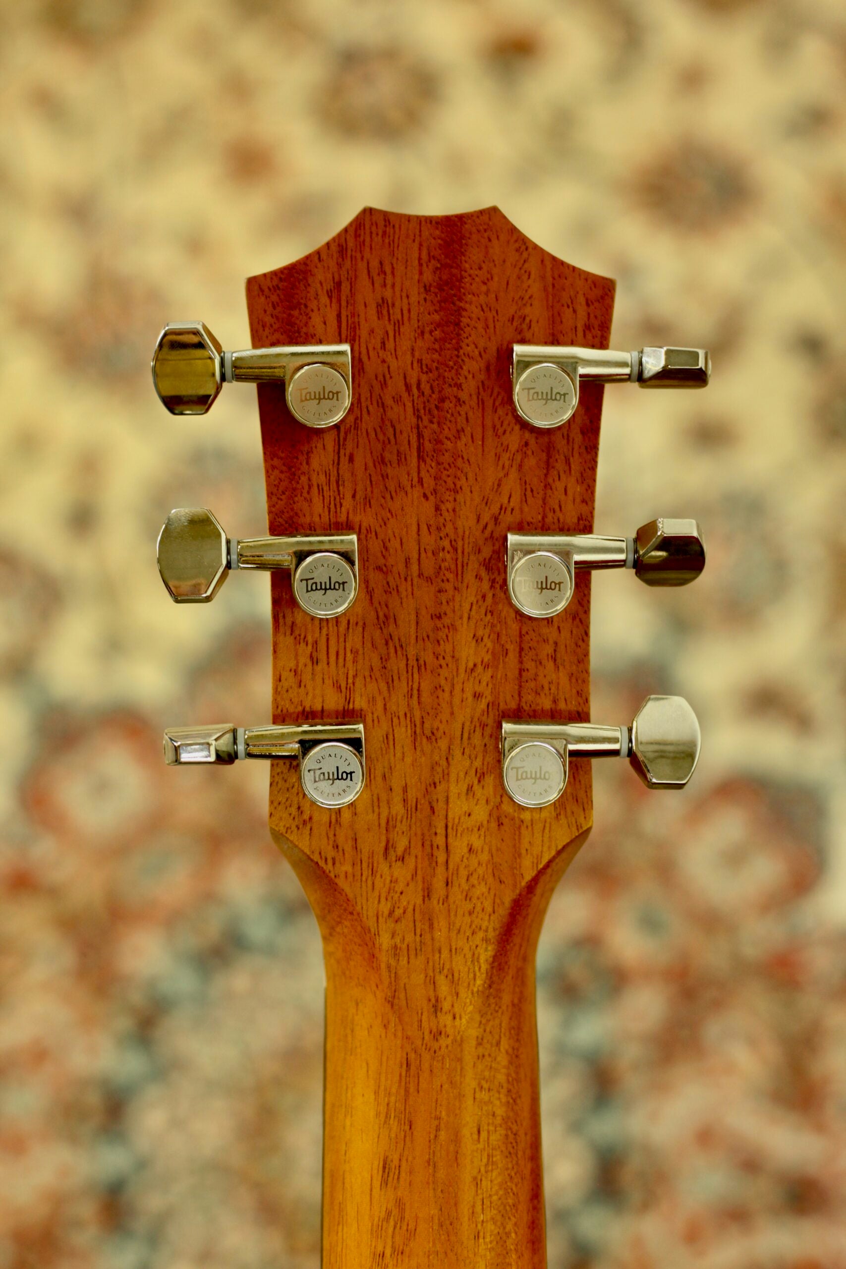 Taylor GS Mini-e Rosewood Plus | Natural